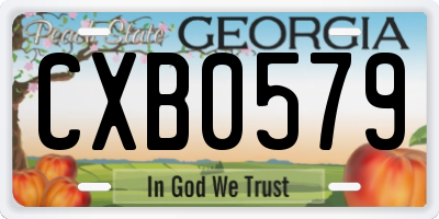GA license plate CXB0579