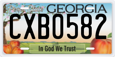 GA license plate CXB0582