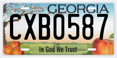 GA license plate CXB0587