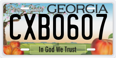 GA license plate CXB0607