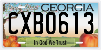 GA license plate CXB0613