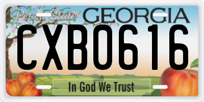 GA license plate CXB0616