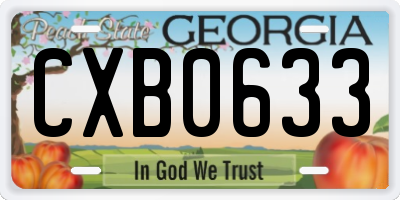 GA license plate CXB0633