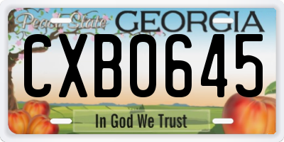 GA license plate CXB0645