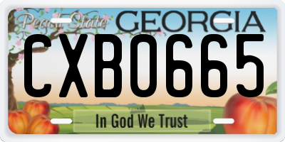 GA license plate CXB0665