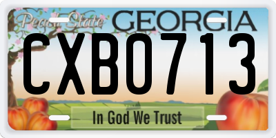 GA license plate CXB0713