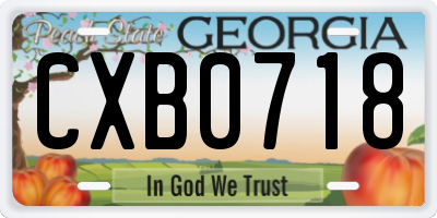 GA license plate CXB0718