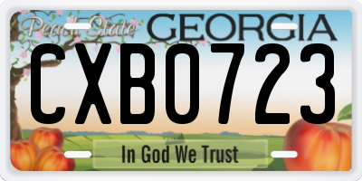 GA license plate CXB0723