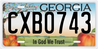 GA license plate CXB0743