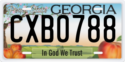 GA license plate CXB0788