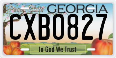GA license plate CXB0827