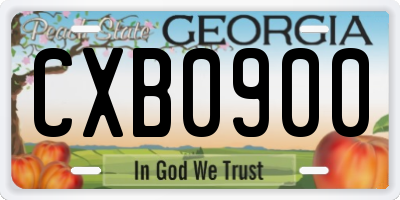 GA license plate CXB0900