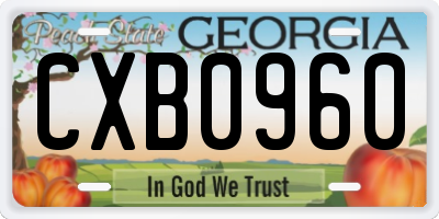 GA license plate CXB0960