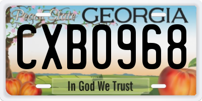 GA license plate CXB0968
