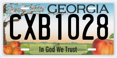 GA license plate CXB1028