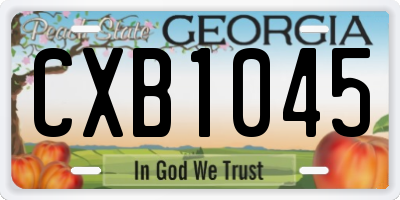 GA license plate CXB1045