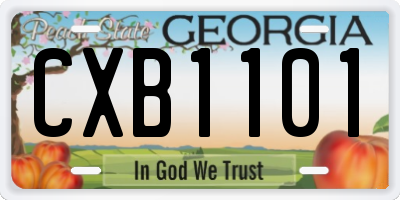GA license plate CXB1101