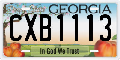GA license plate CXB1113