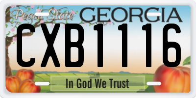 GA license plate CXB1116