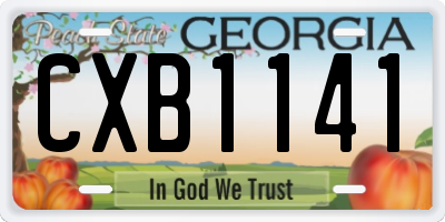 GA license plate CXB1141