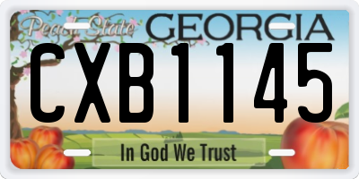 GA license plate CXB1145