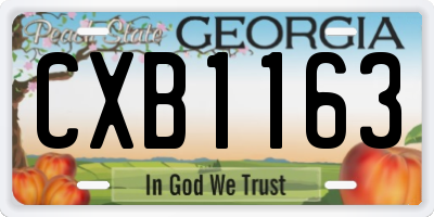 GA license plate CXB1163