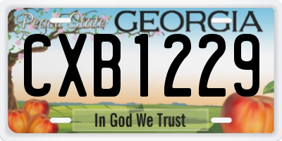 GA license plate CXB1229