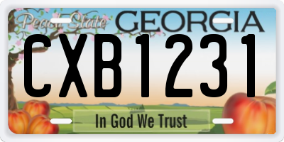 GA license plate CXB1231