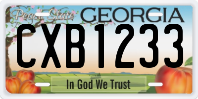GA license plate CXB1233