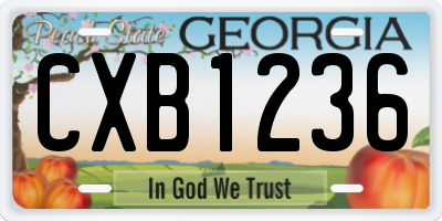 GA license plate CXB1236