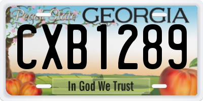 GA license plate CXB1289