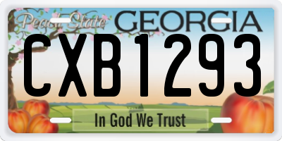GA license plate CXB1293