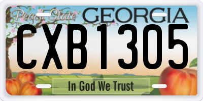 GA license plate CXB1305