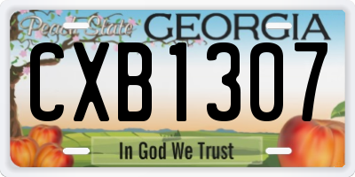 GA license plate CXB1307