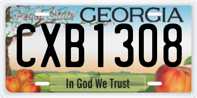 GA license plate CXB1308