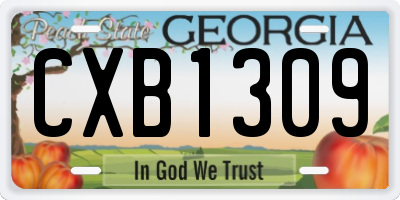 GA license plate CXB1309