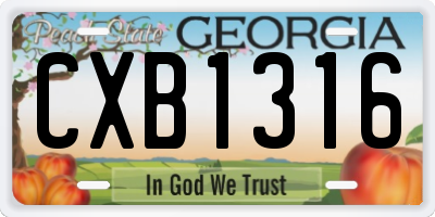 GA license plate CXB1316