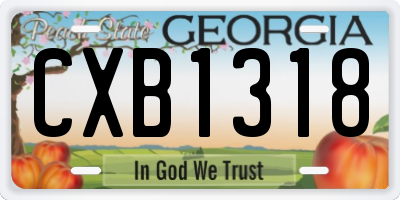 GA license plate CXB1318