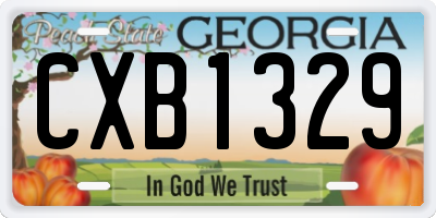 GA license plate CXB1329