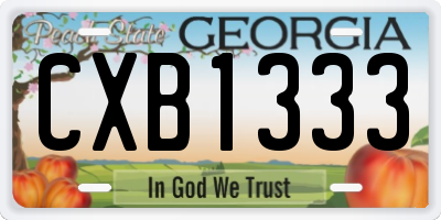 GA license plate CXB1333