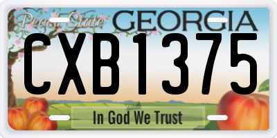 GA license plate CXB1375