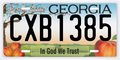 GA license plate CXB1385