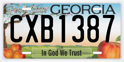 GA license plate CXB1387