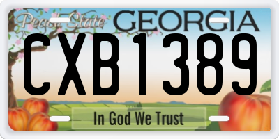 GA license plate CXB1389