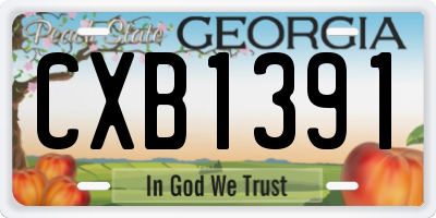 GA license plate CXB1391