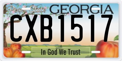 GA license plate CXB1517