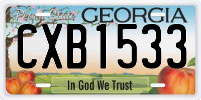 GA license plate CXB1533