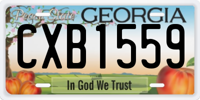 GA license plate CXB1559