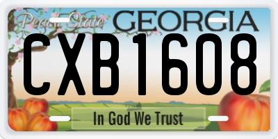 GA license plate CXB1608