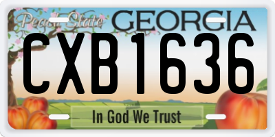 GA license plate CXB1636